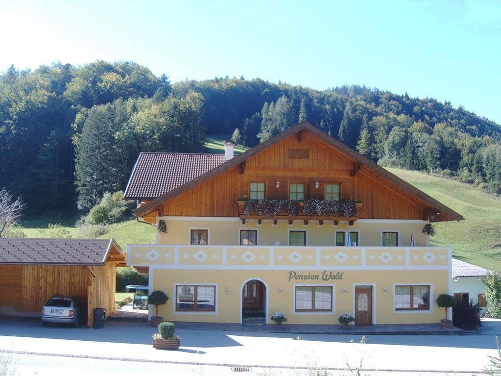 Pension Wald Файштенау Екстер'єр фото